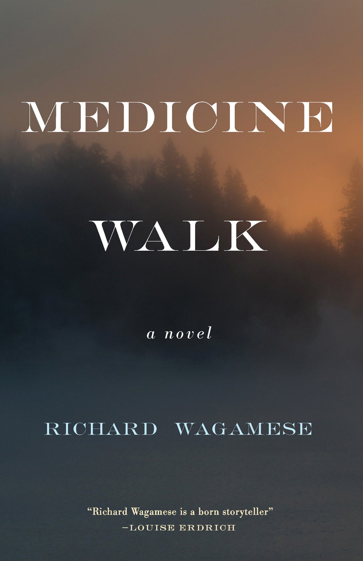 Cover image for Medicine Walk ISBN 9781571311153