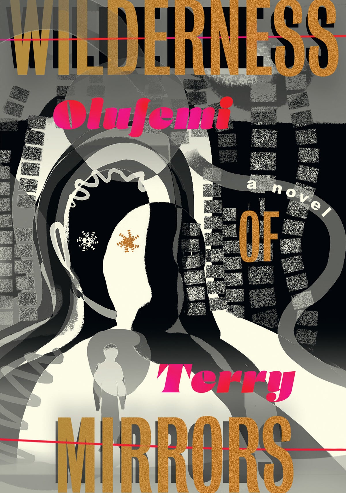 Cover image for Wilderness of Mirrors ISBN 9781632063984