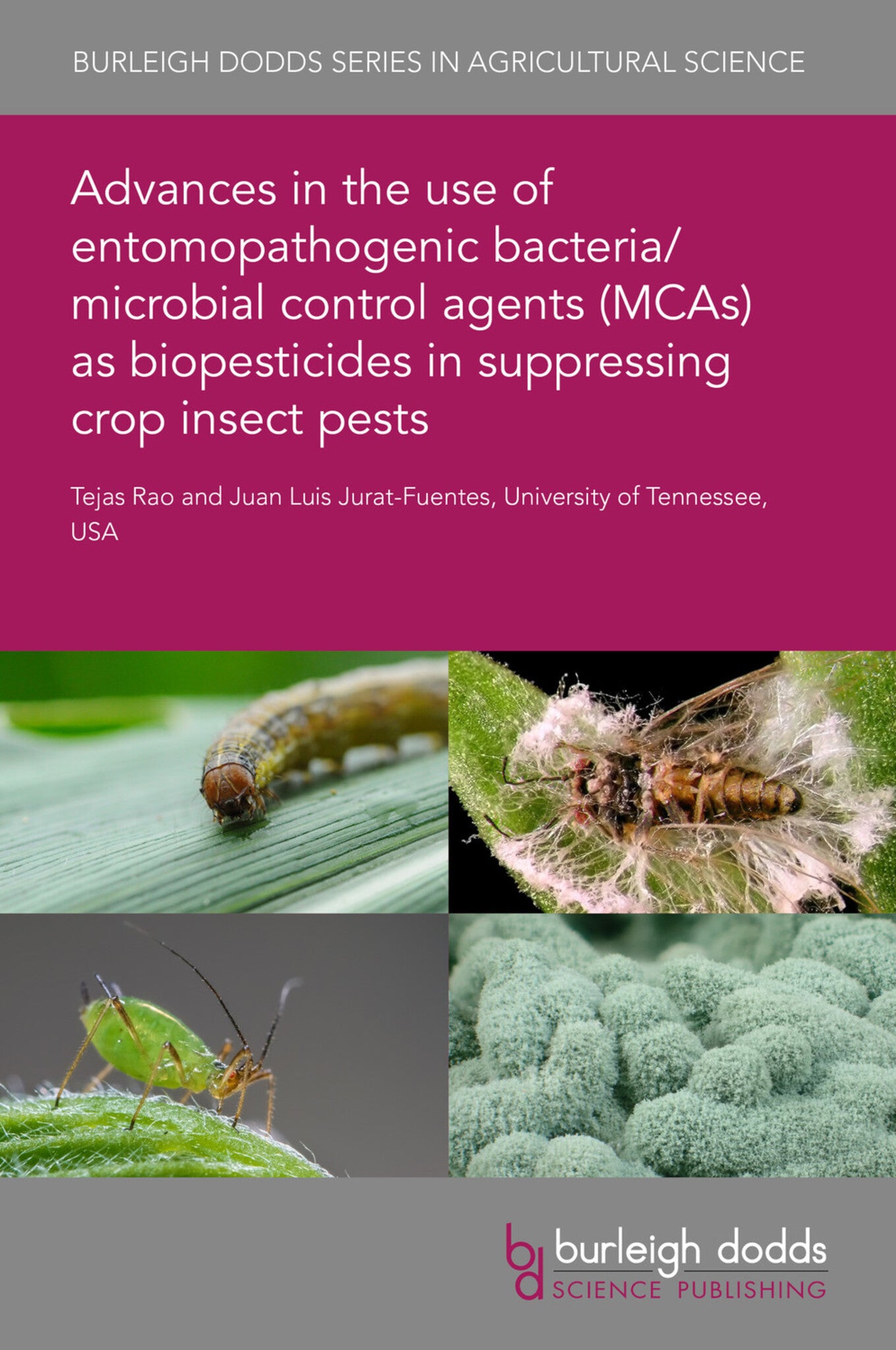 Cover image for Advances in the use of entomopathogenic bacteria/microbial control agents (MCAs) as biopesticides in suppressing crop insect pests ISBN 9781786767011