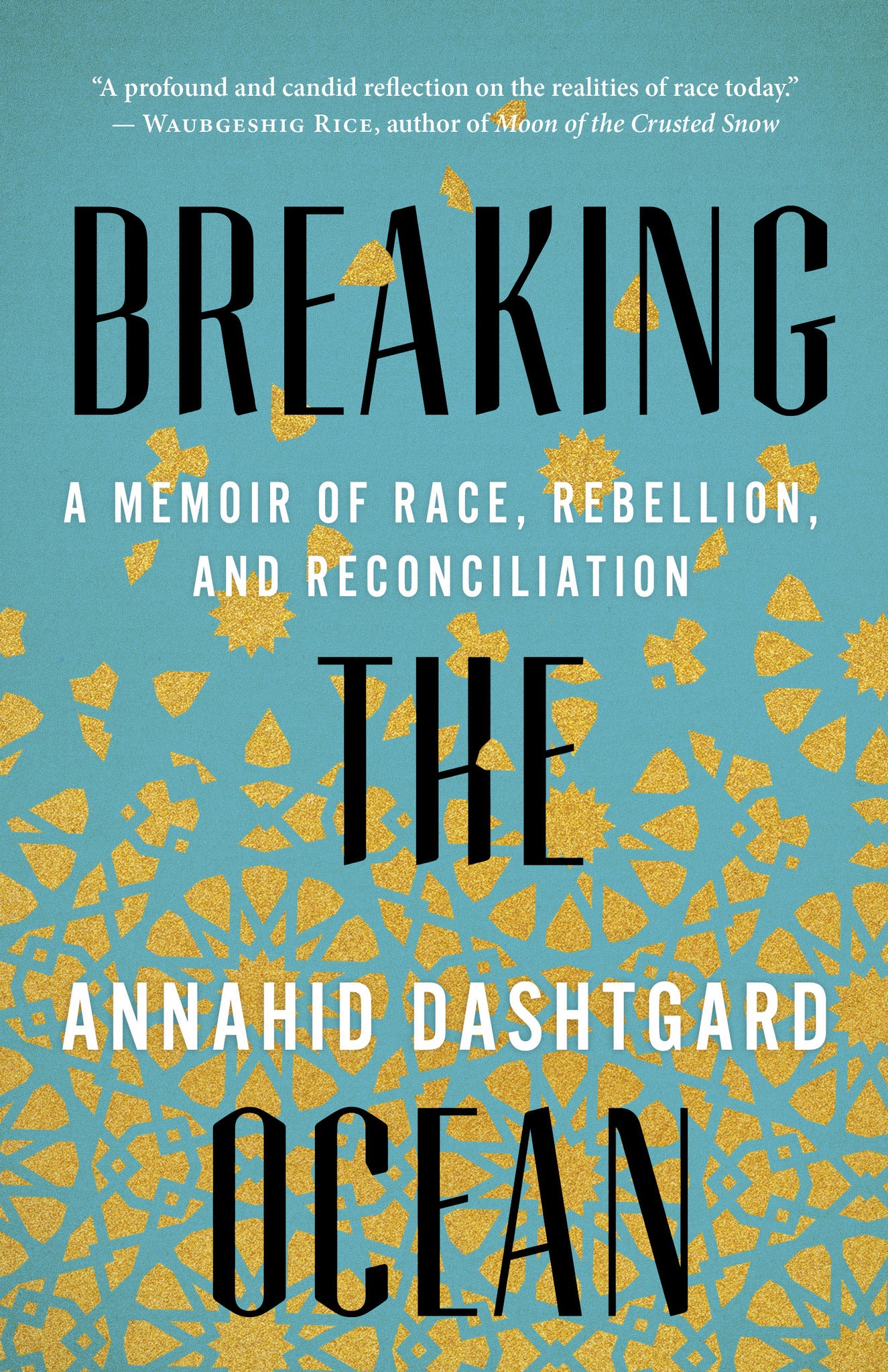 Cover image for Breaking the Ocean ISBN 9781487006471