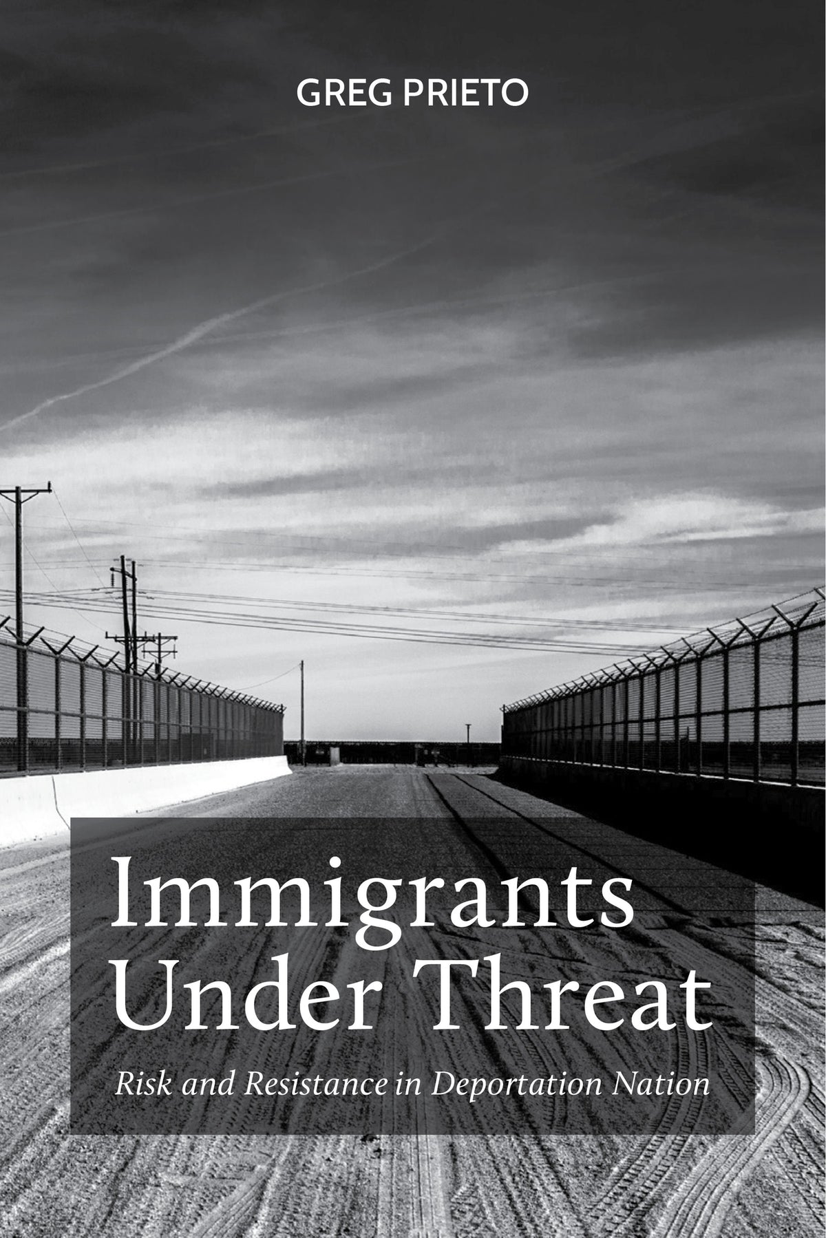Cover image for Immigrants Under Threat ISBN 9781479821464