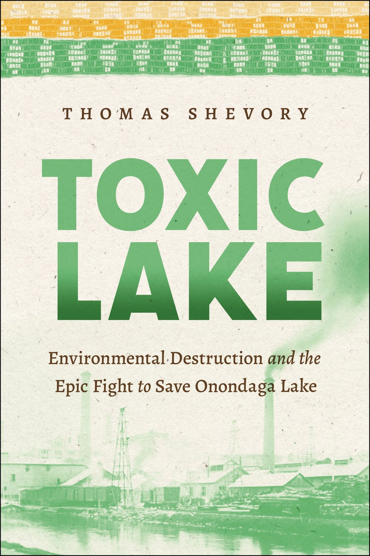 Cover image for Toxic Lake ISBN 9781479815708