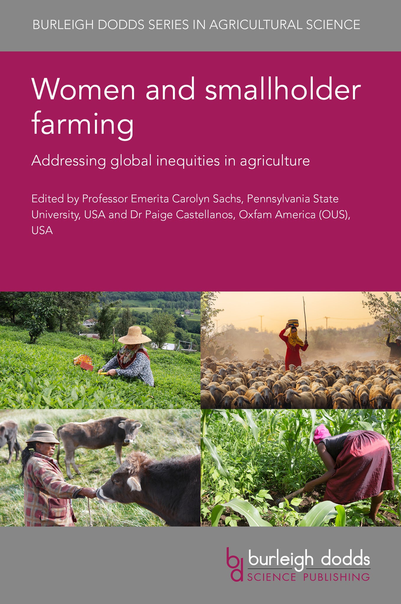Cover image for Women and smallholder farming ISBN 9781801468077