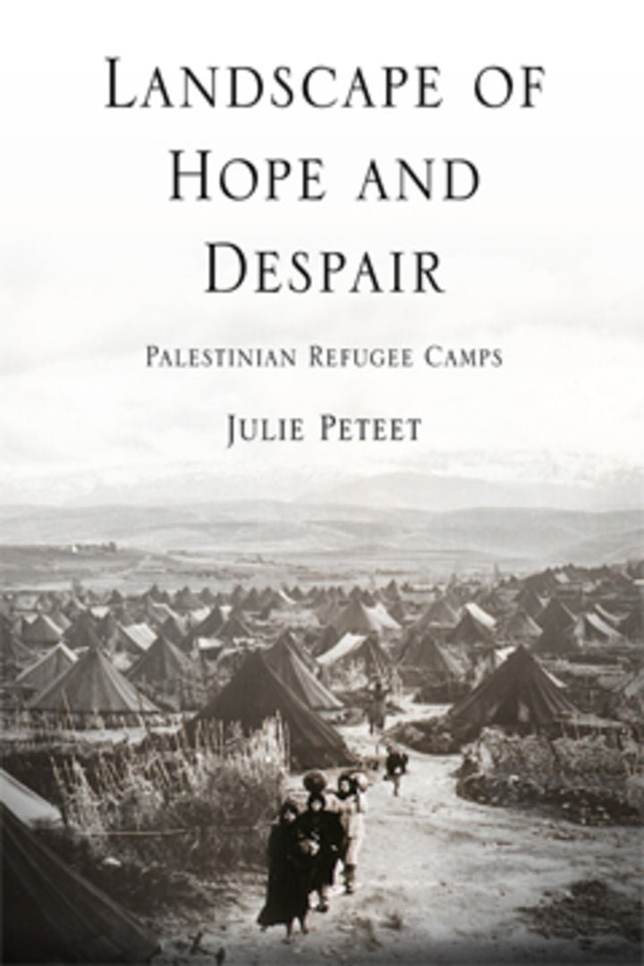 Cover image for Landscape of Hope and Despair ISBN 9780812220704