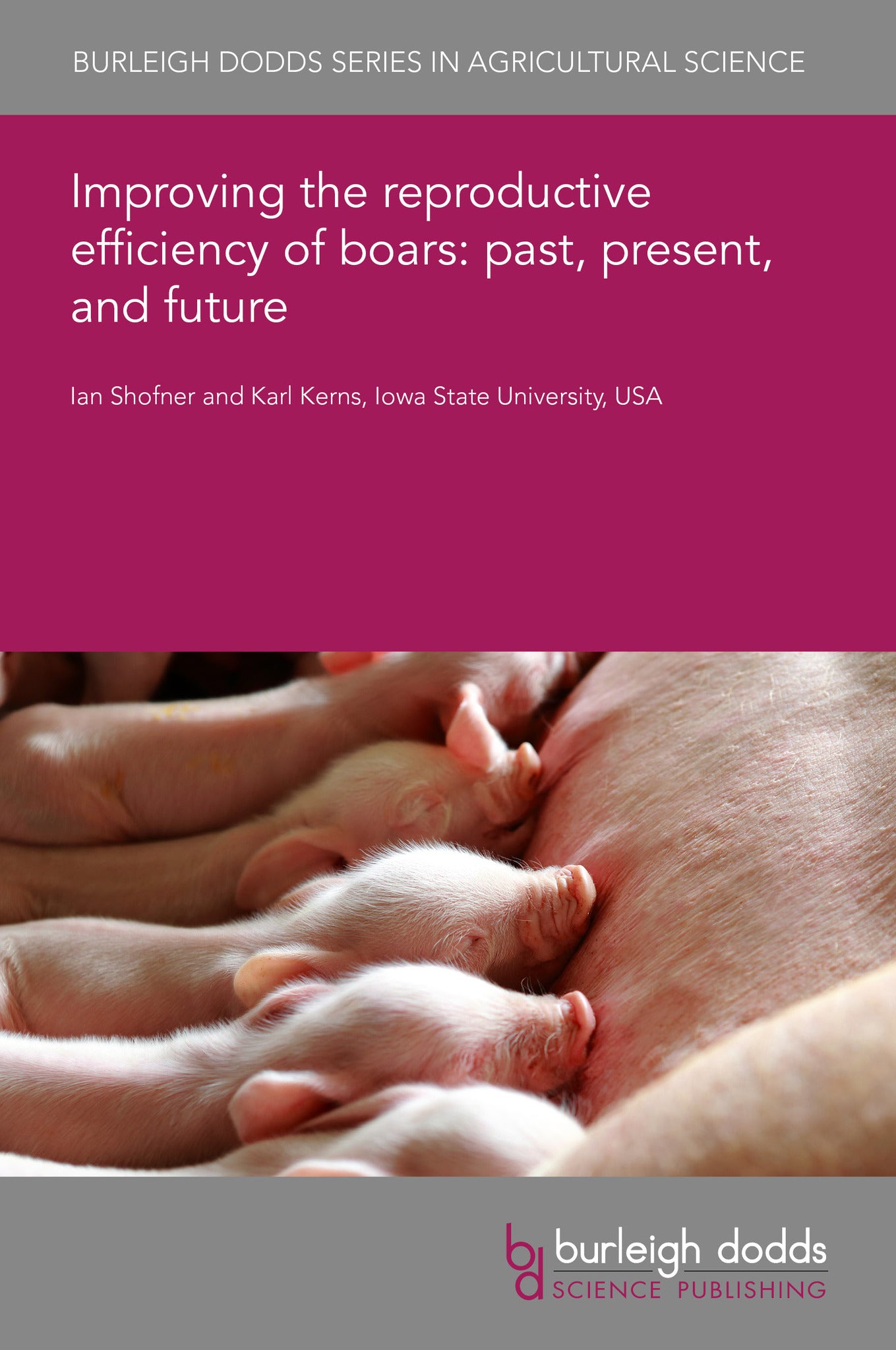 Cover image for Improving the reproductive efficiency of boars: past, present, and future ISBN 9781835454008