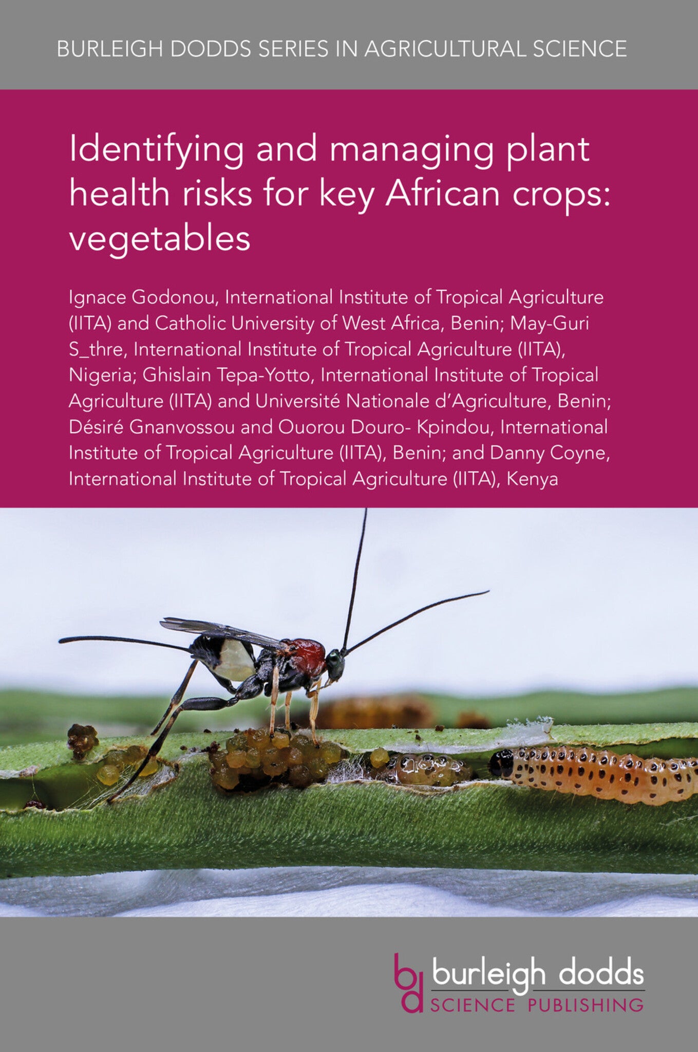 Cover image for Identifying and managing plant health risks for key African crops: vegetables ISBN 9781838797591
