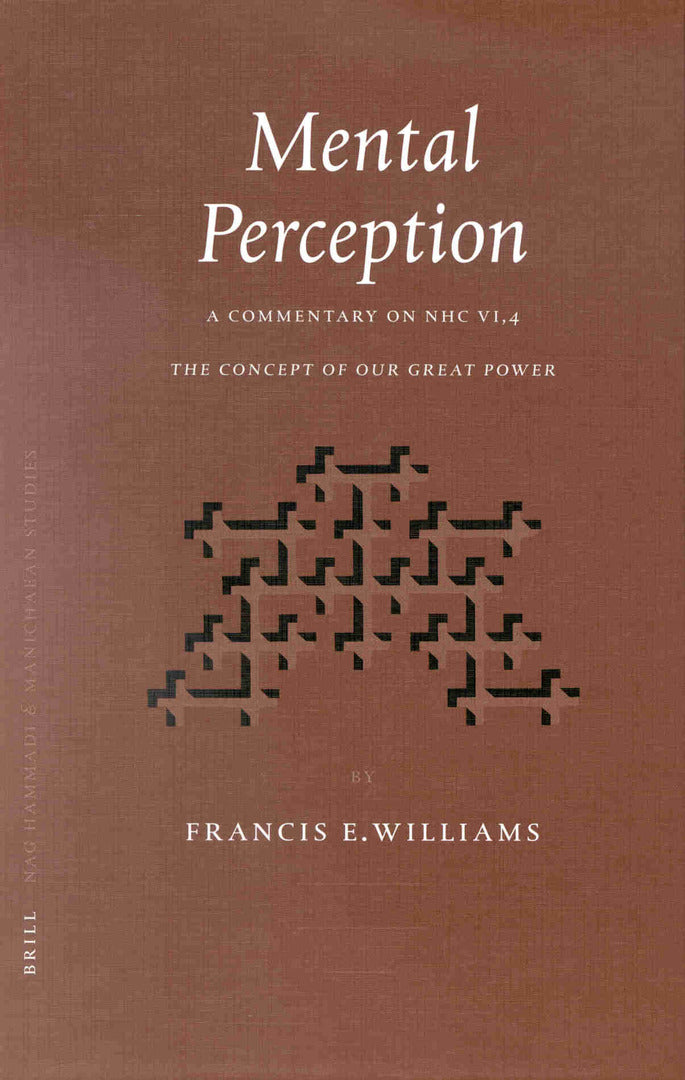 Cover image for Mental Perception ISBN 9789004116924