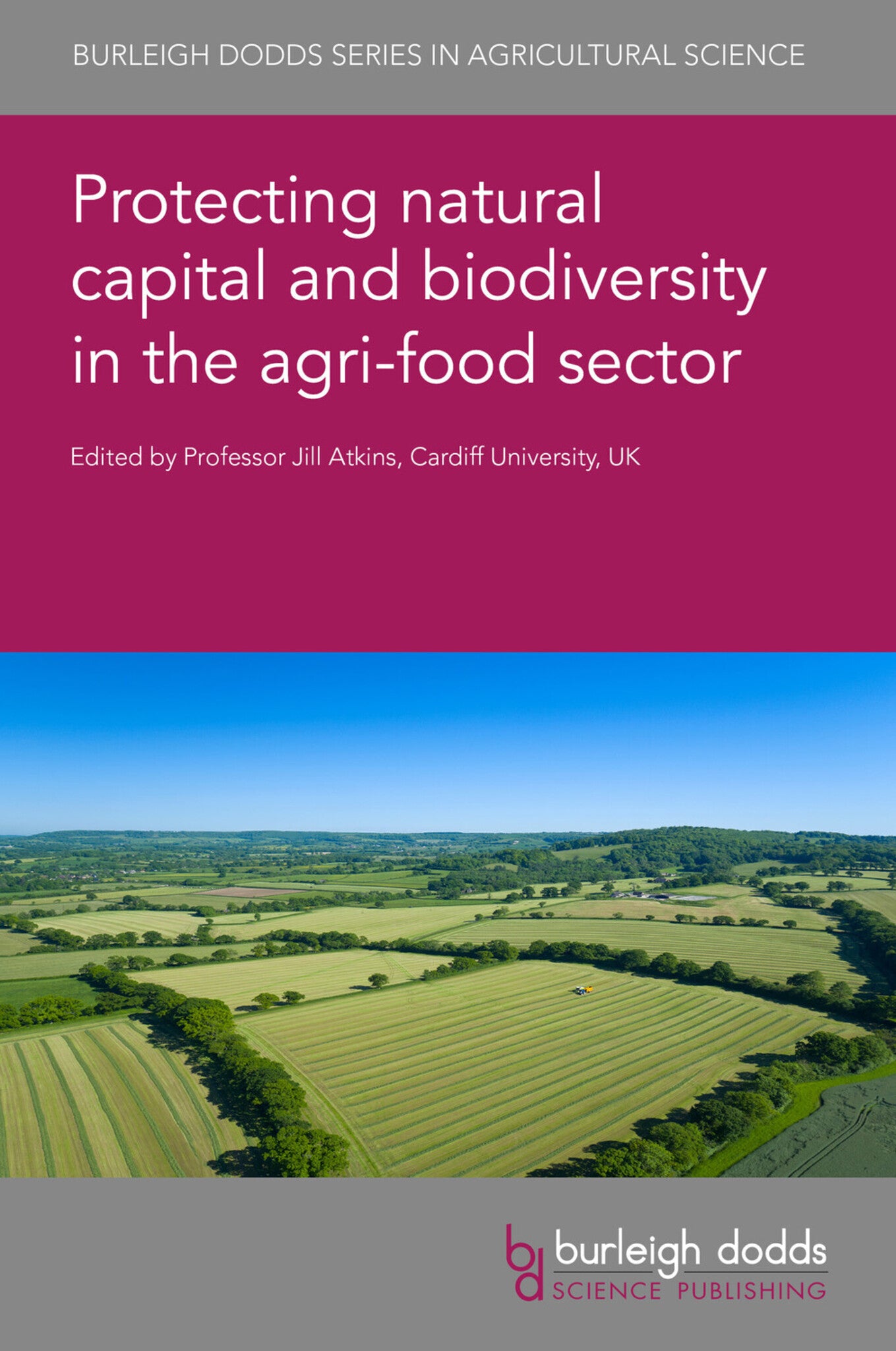 Cover image for Protecting natural capital and biodiversity in the agri-food sector ISBN 9781801463515