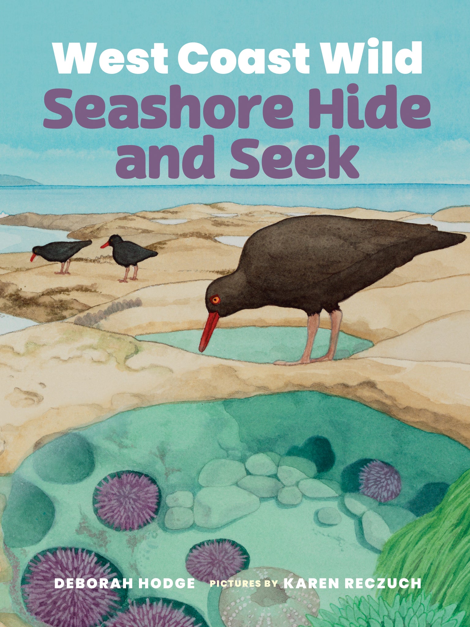Cover image for West Coast Wild Seashore Hide and Seek ISBN 9781779460738