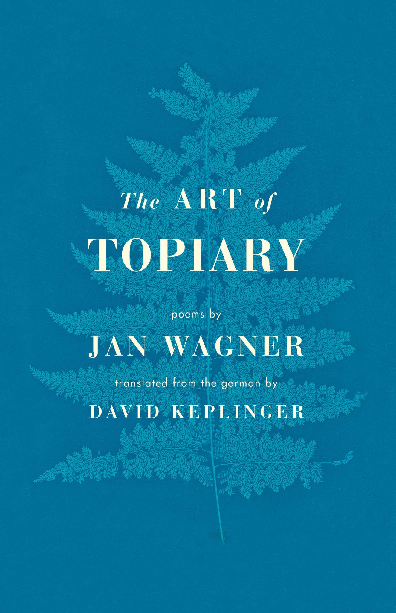 Cover image for The Art of Topiary ISBN 9781571314963