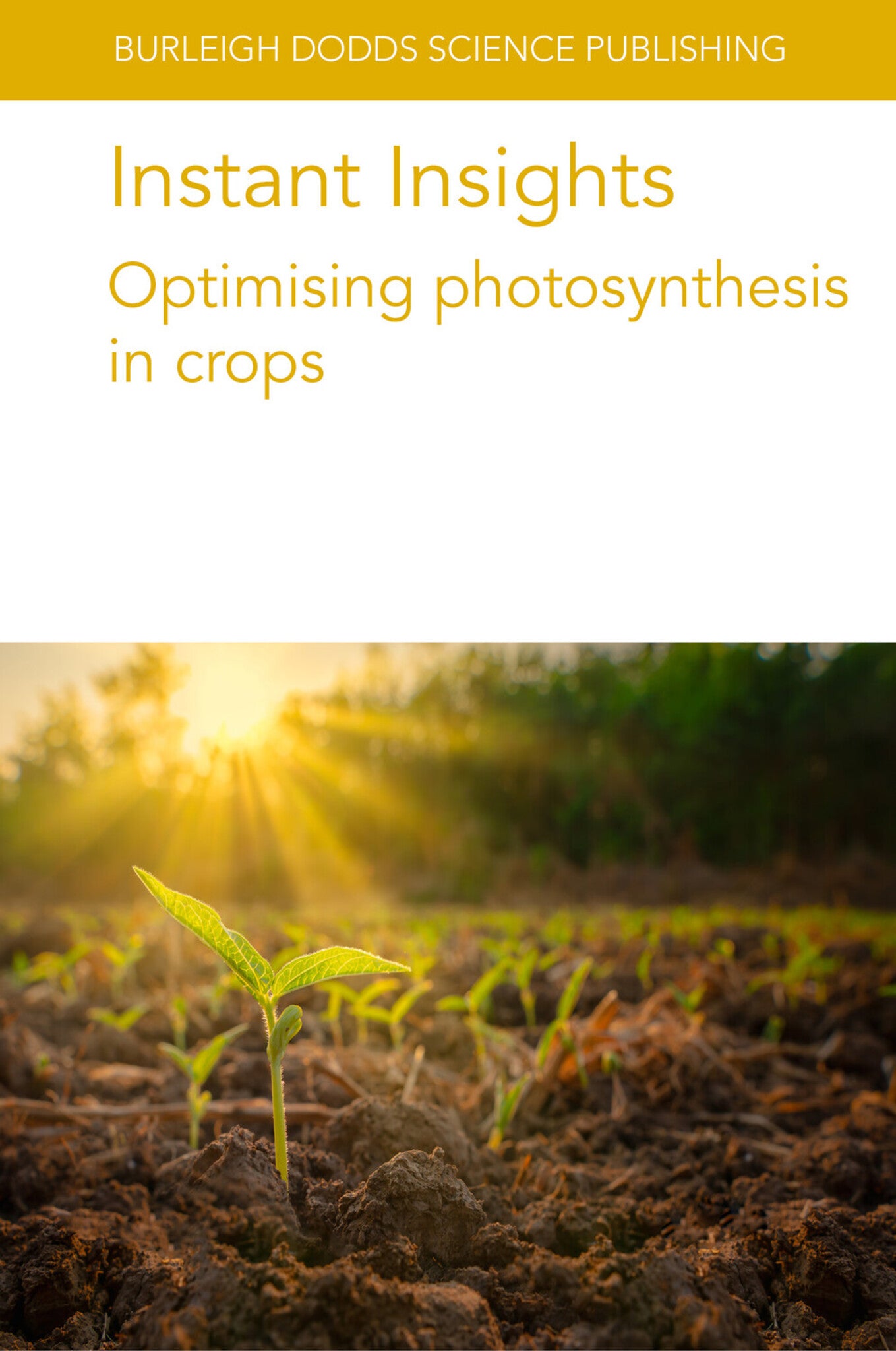Cover image for Instant Insights: Optimising photosynthesis in crops ISBN 9781801466479