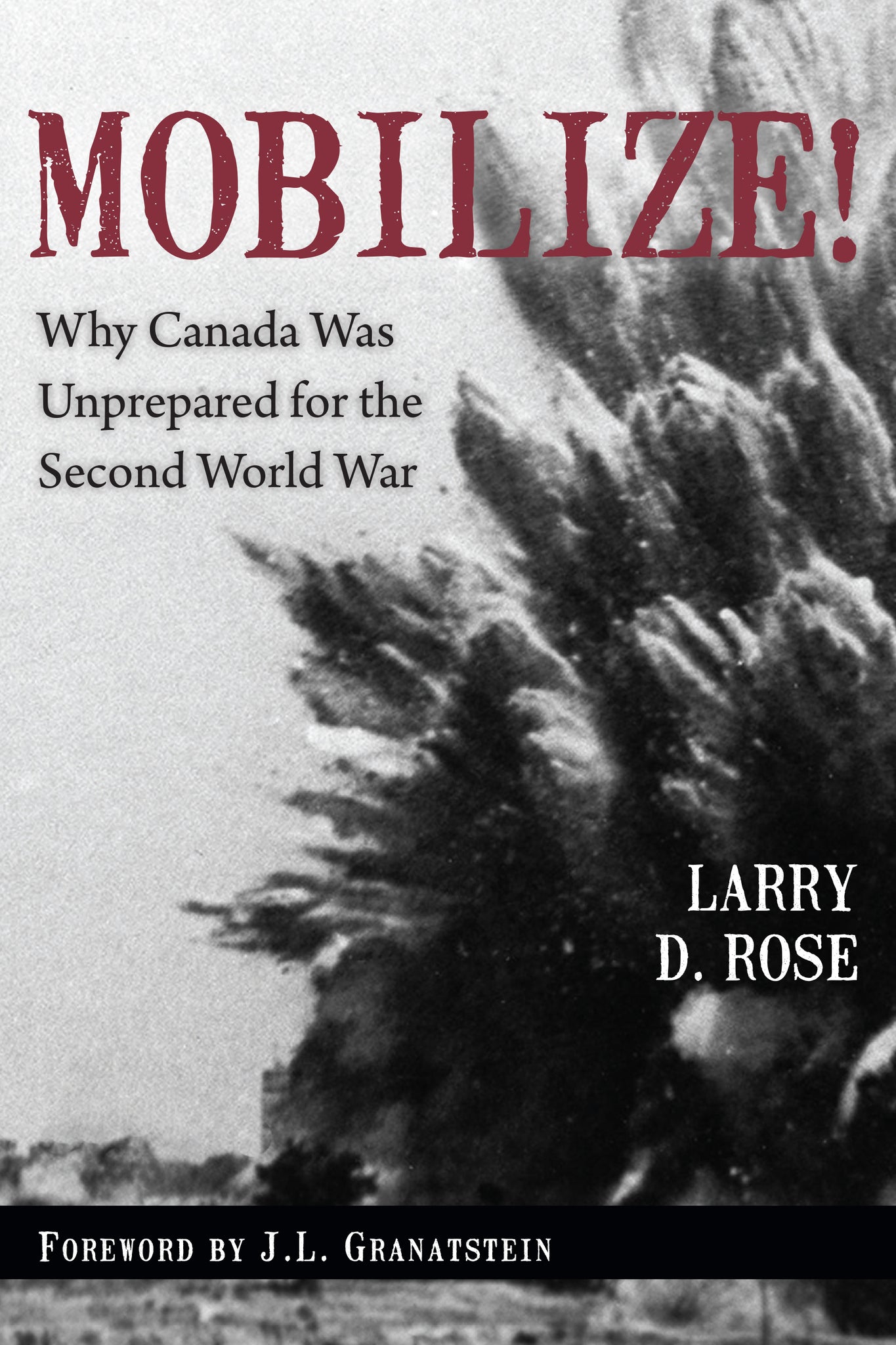 Cover image for Mobilize! ISBN 9781459710641