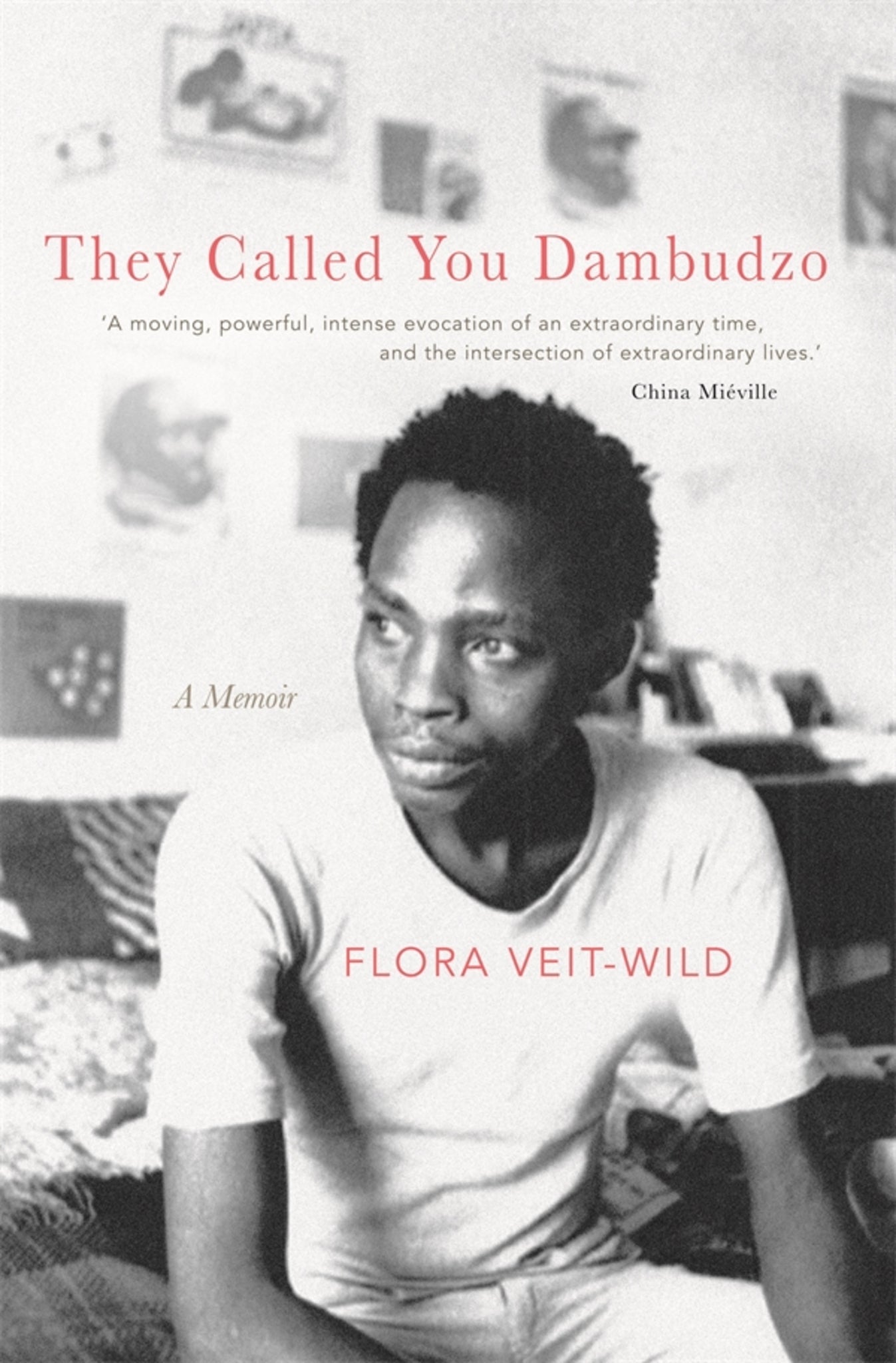 Cover image for They Called You Dambudzo ISBN 9781847013347