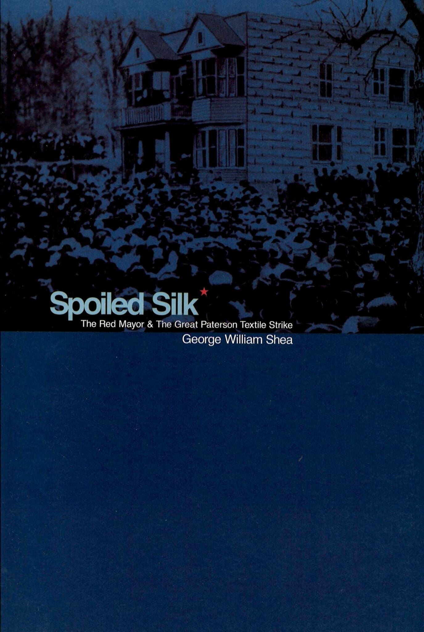 Cover image for Spoiled Silk ISBN 9780823221332