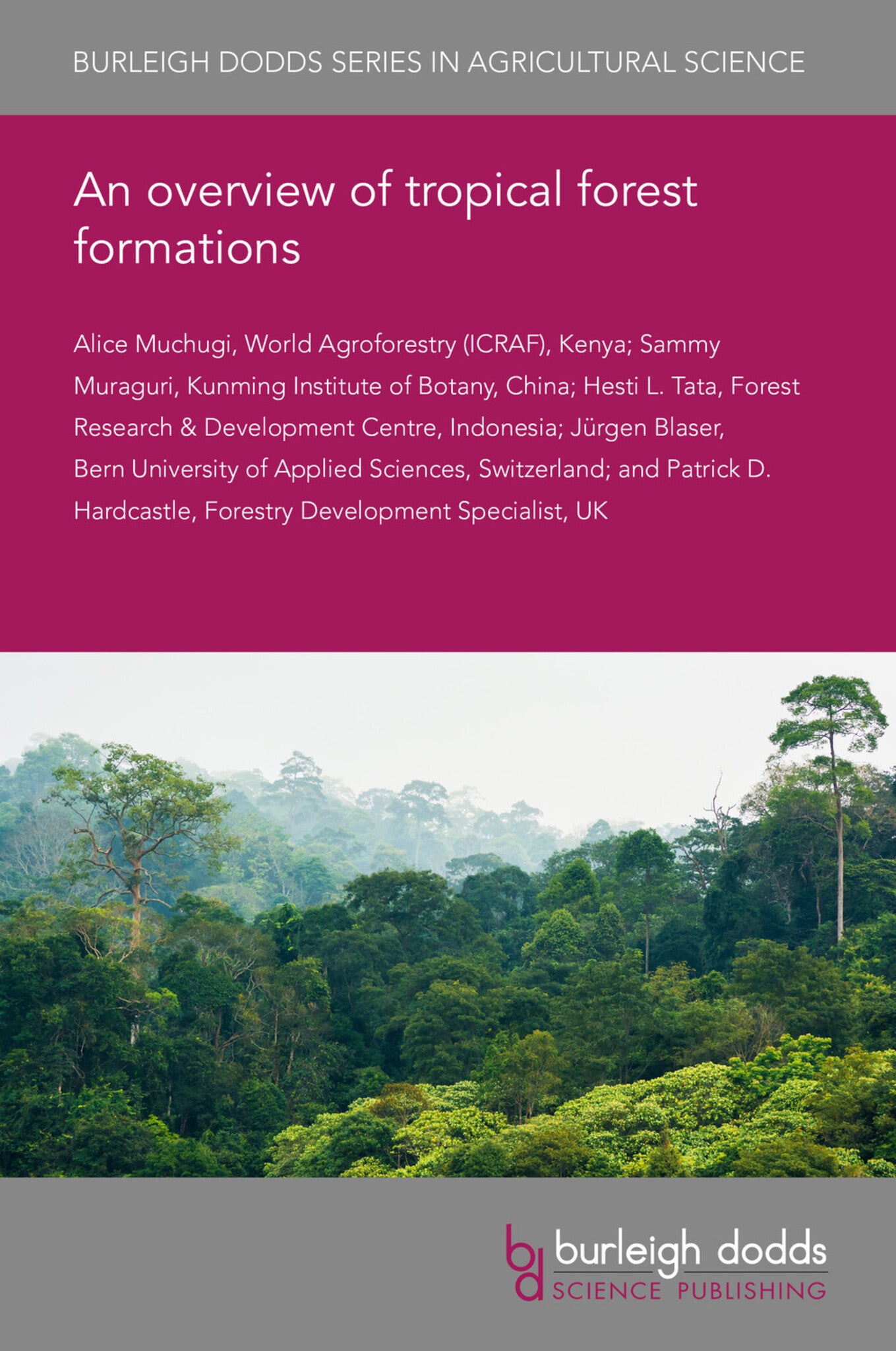Cover image for An overview of tropical forest formations ISBN 9781786768940