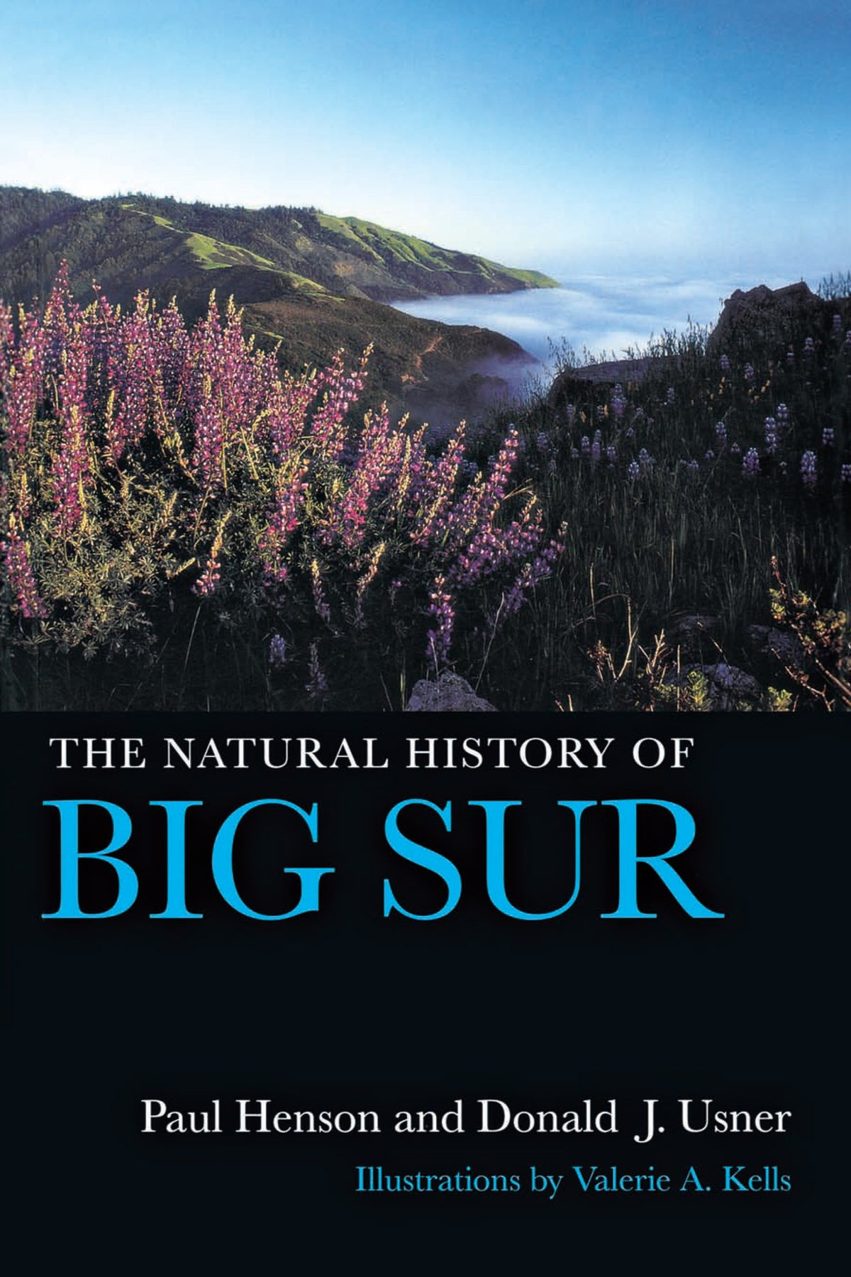 Cover image for The Natural History of Big Sur ISBN 9780520917798