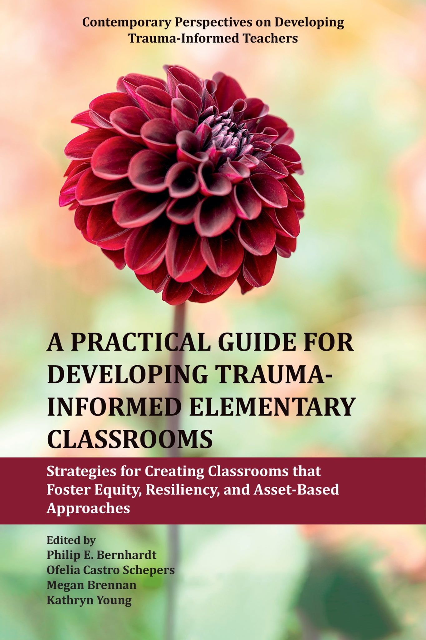 Cover image for A Practical Guide for Developing Trauma-Informed Elementary Classrooms ISBN 