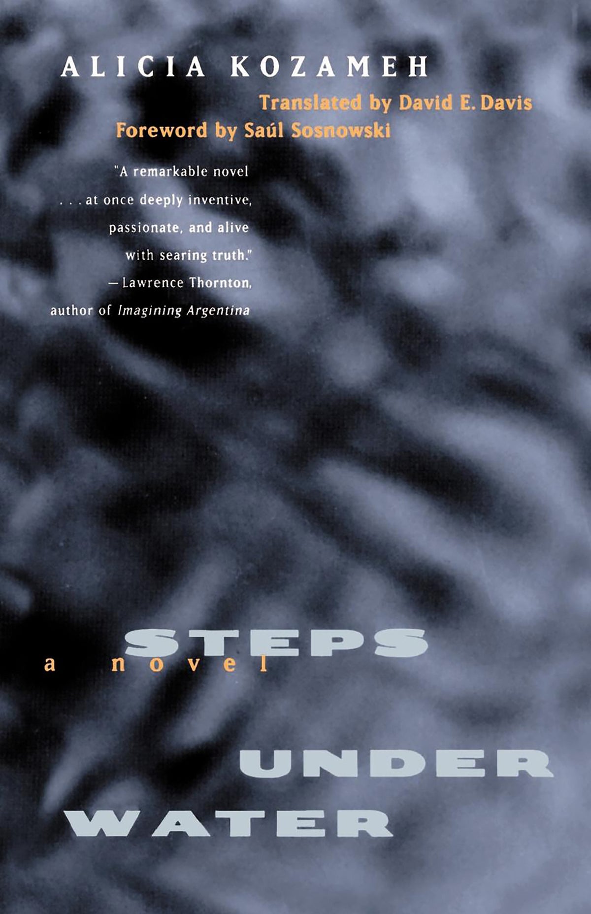 Cover image for Steps under Water ISBN 9780520917385