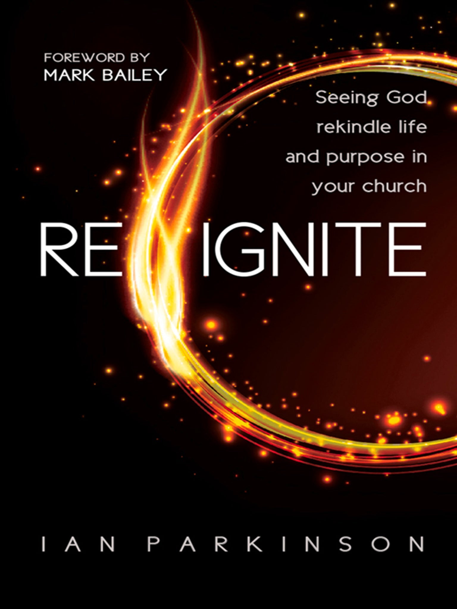 Cover image for Reignite ISBN 9780857216694