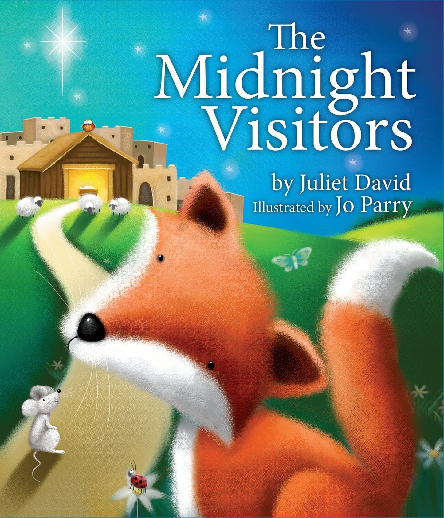 Cover image for The Midnight Visitors ISBN 9781781281963