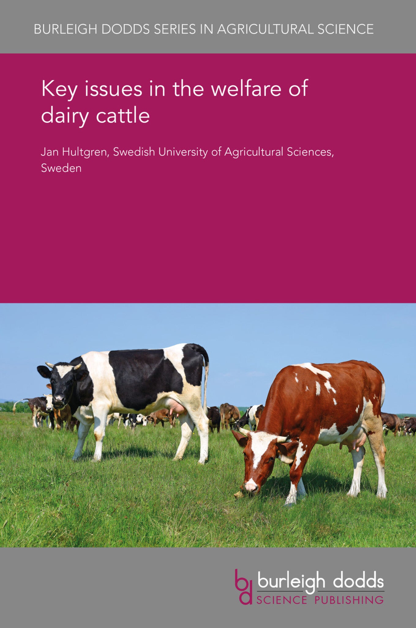 Cover image for Key issues in the welfare of dairy cattle ISBN 9781838791599