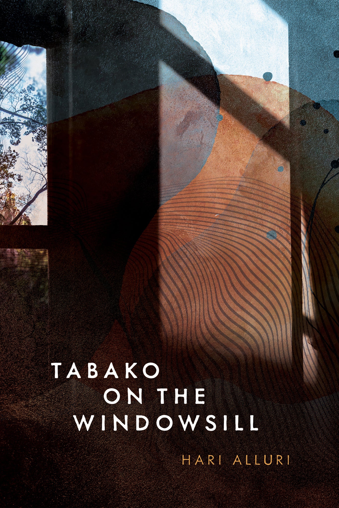 Cover image for Tabako on the Windowsill ISBN 9781771316491