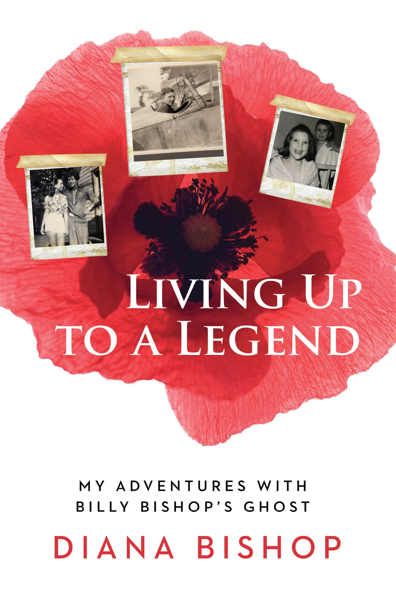 Cover image for Living Up to a Legend ISBN 9781459737709