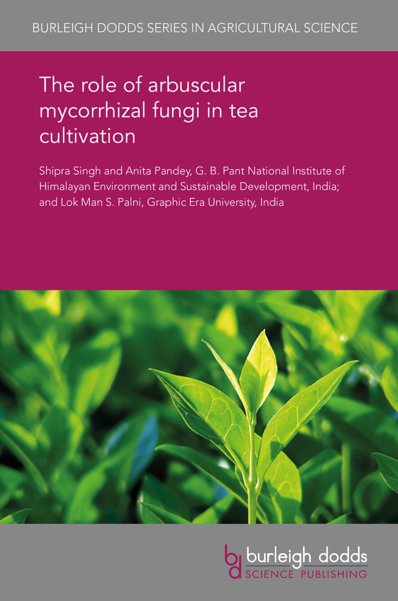 Cover image for The role of arbuscular mycorrhizal fungi in tea cultivation ISBN 9781838796129
