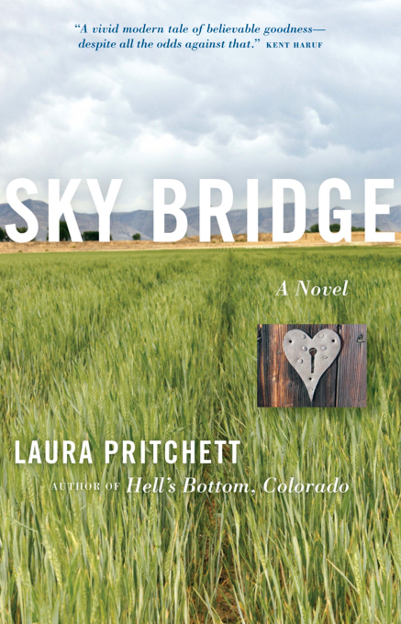 Cover image for Sky Bridge ISBN 9781571310545