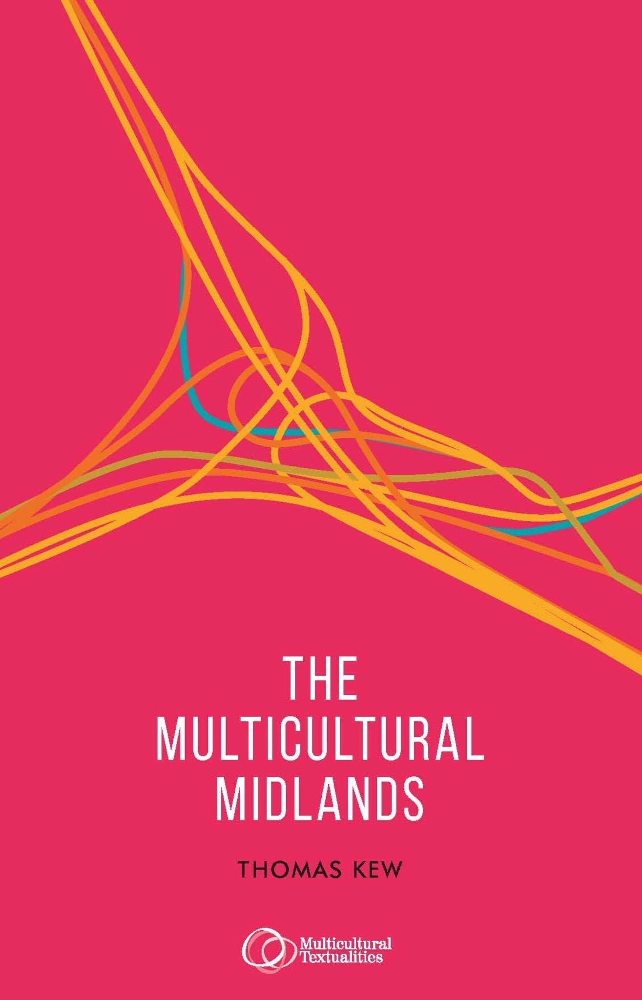 Cover image for The multicultural Midlands ISBN 9781526154521