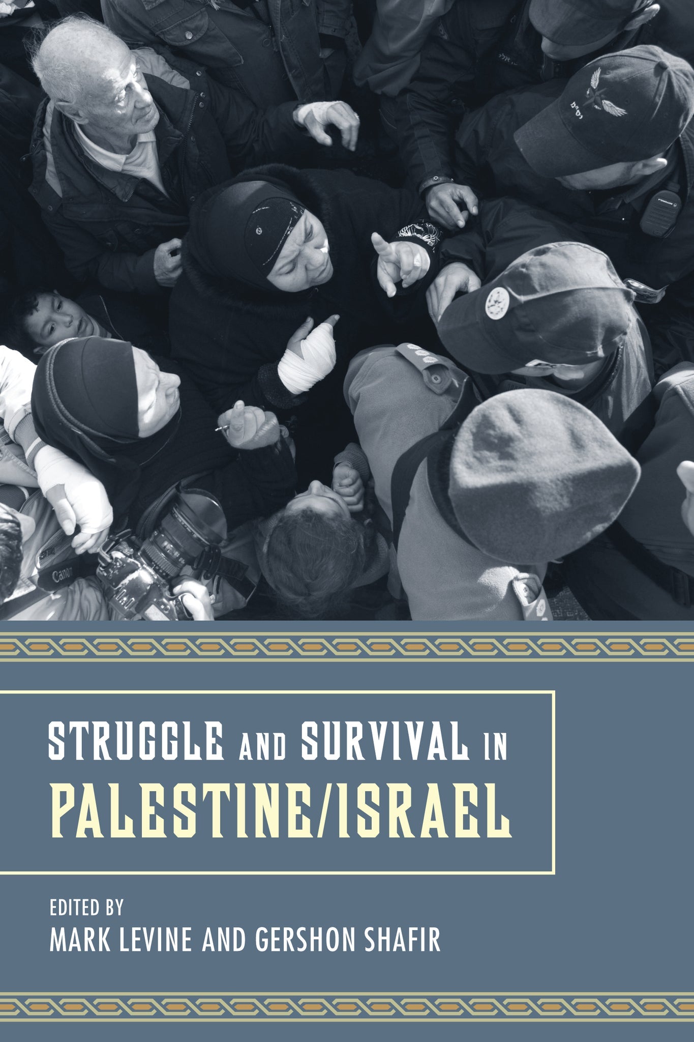 Cover image for Struggle and Survival in Palestine/Israel ISBN 9780520953901