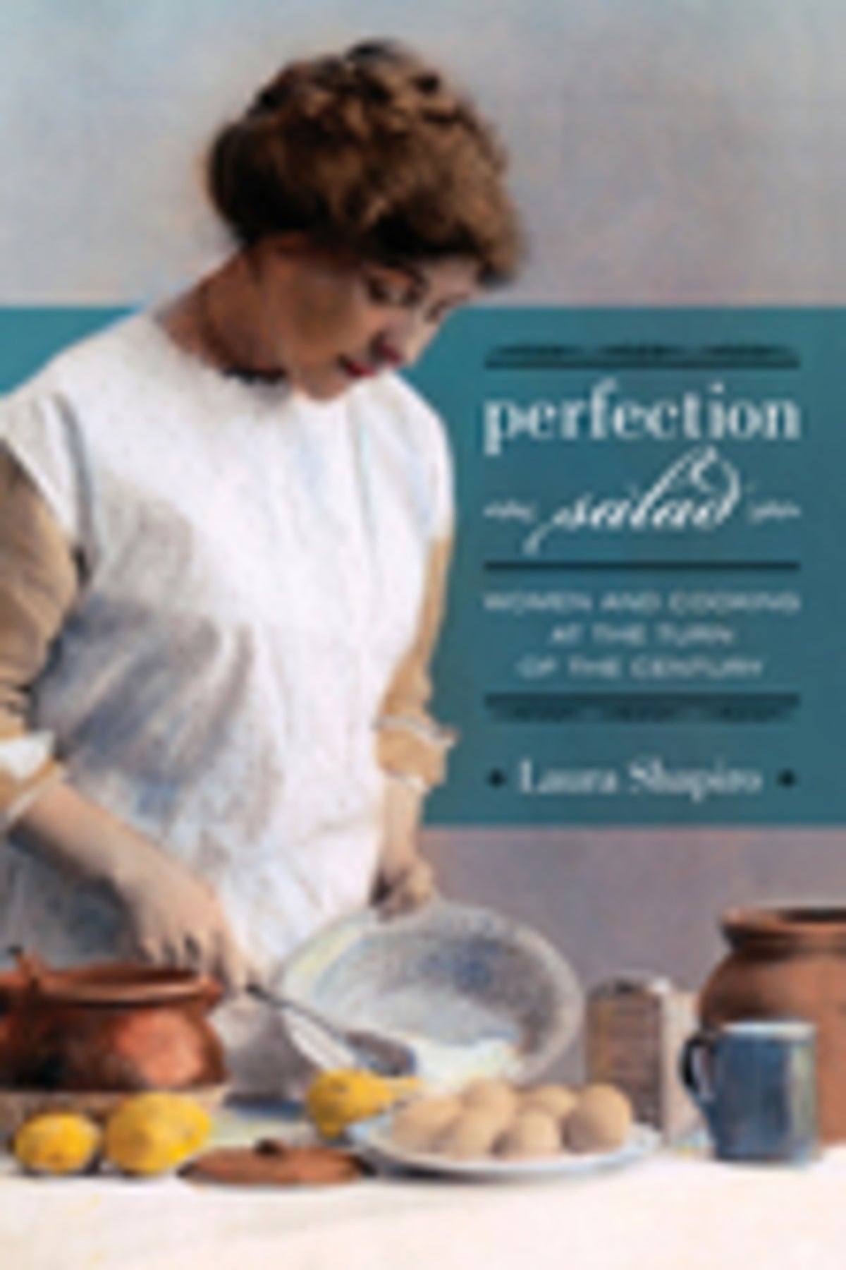 Cover image for Perfection Salad ISBN 9780520257382