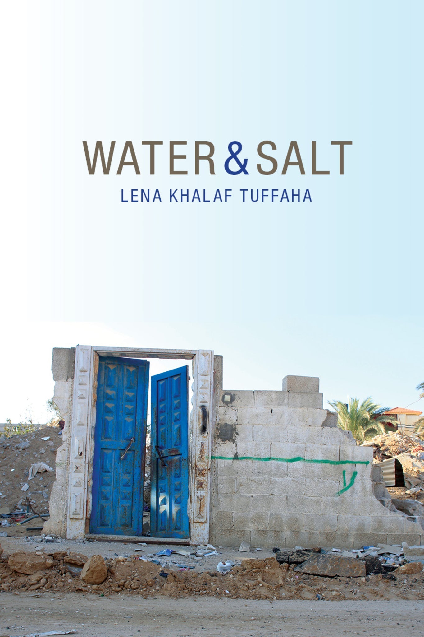 Cover image for Water & Salt ISBN 9781597095945