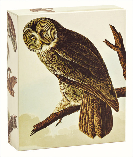 teNeues - QuickNotes: Audubon Owls, Notecards, 20 Full Color Notecards, 20 Classic White Envelopes, 4 Designs, 5 Cards each Design, Keepsake Box, Magnetic Closure