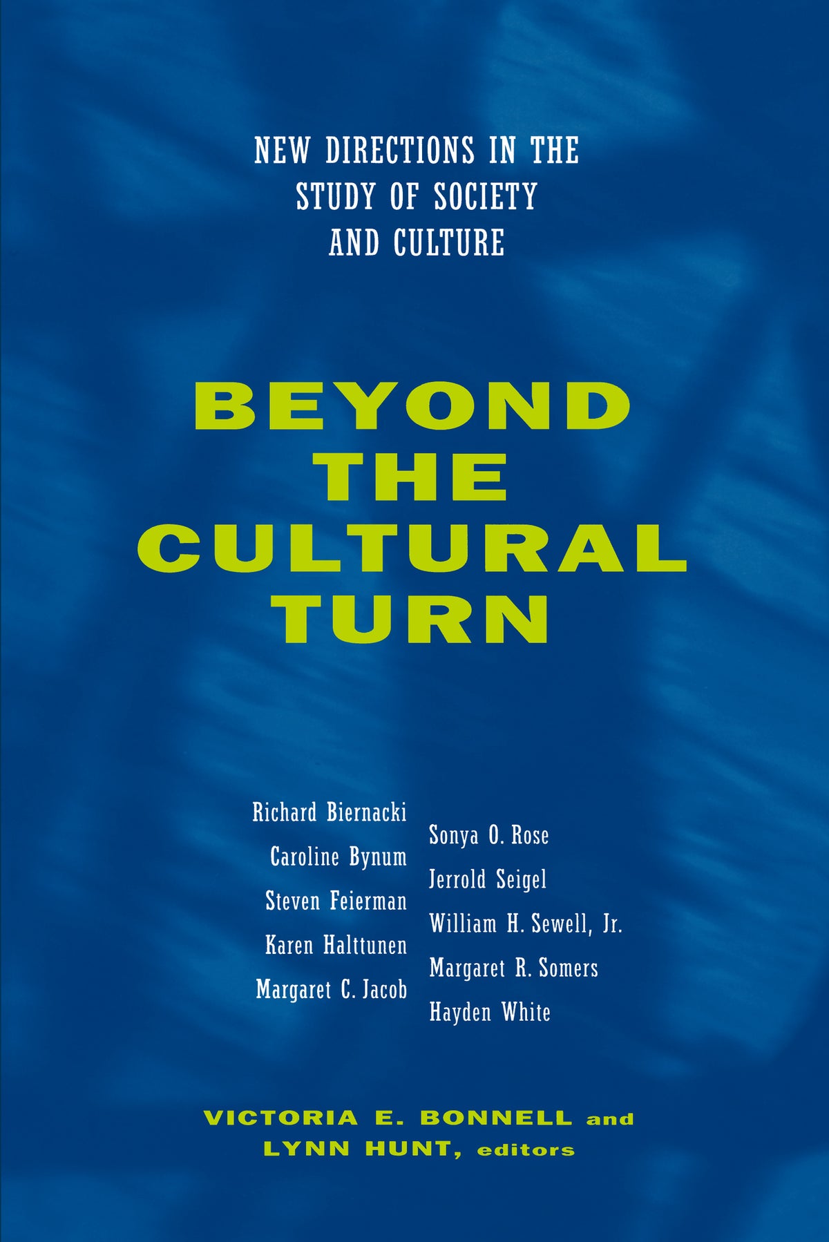 Cover image for Beyond the Cultural Turn ISBN 9780520922167