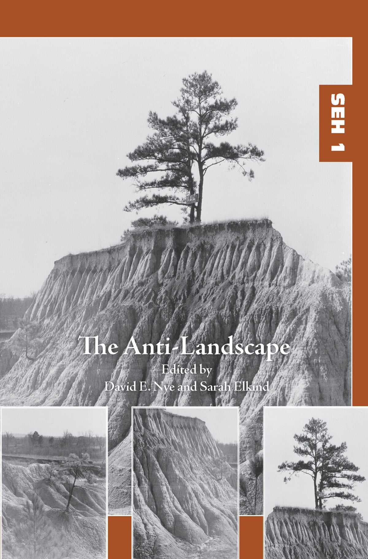 Cover image for The Anti-Landscape ISBN 9789042038868