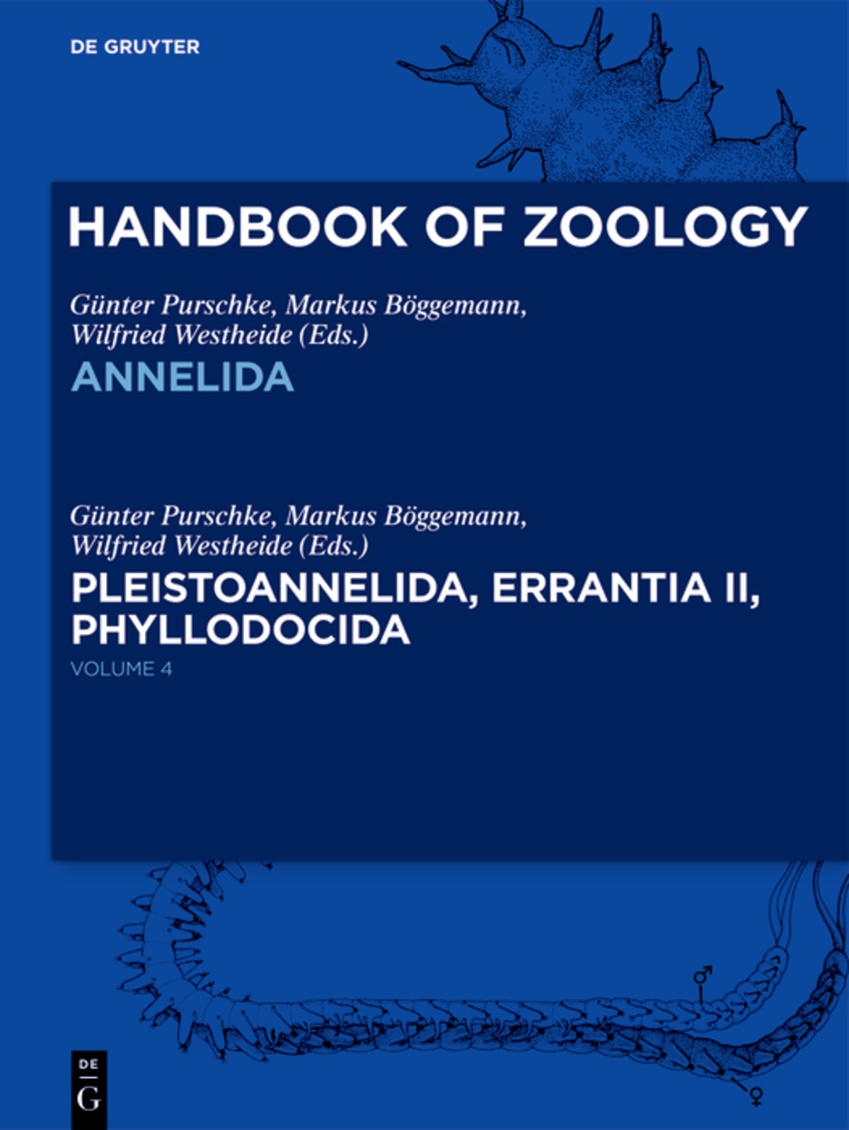 Cover image for Pleistoannelida, Errantia II ISBN 9783110645316