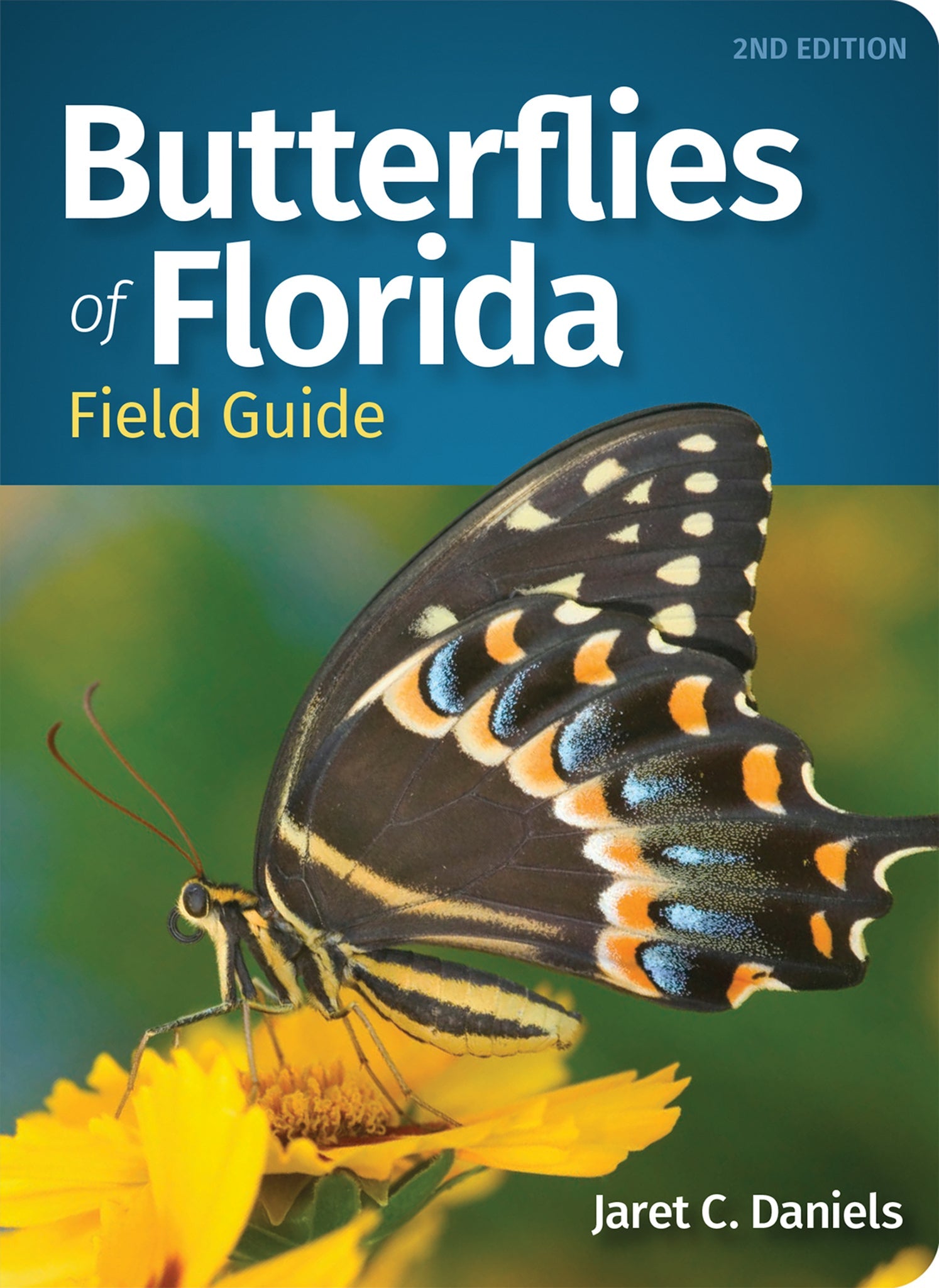 Cover image for Butterflies of Florida Field Guide ISBN 9781647556266
