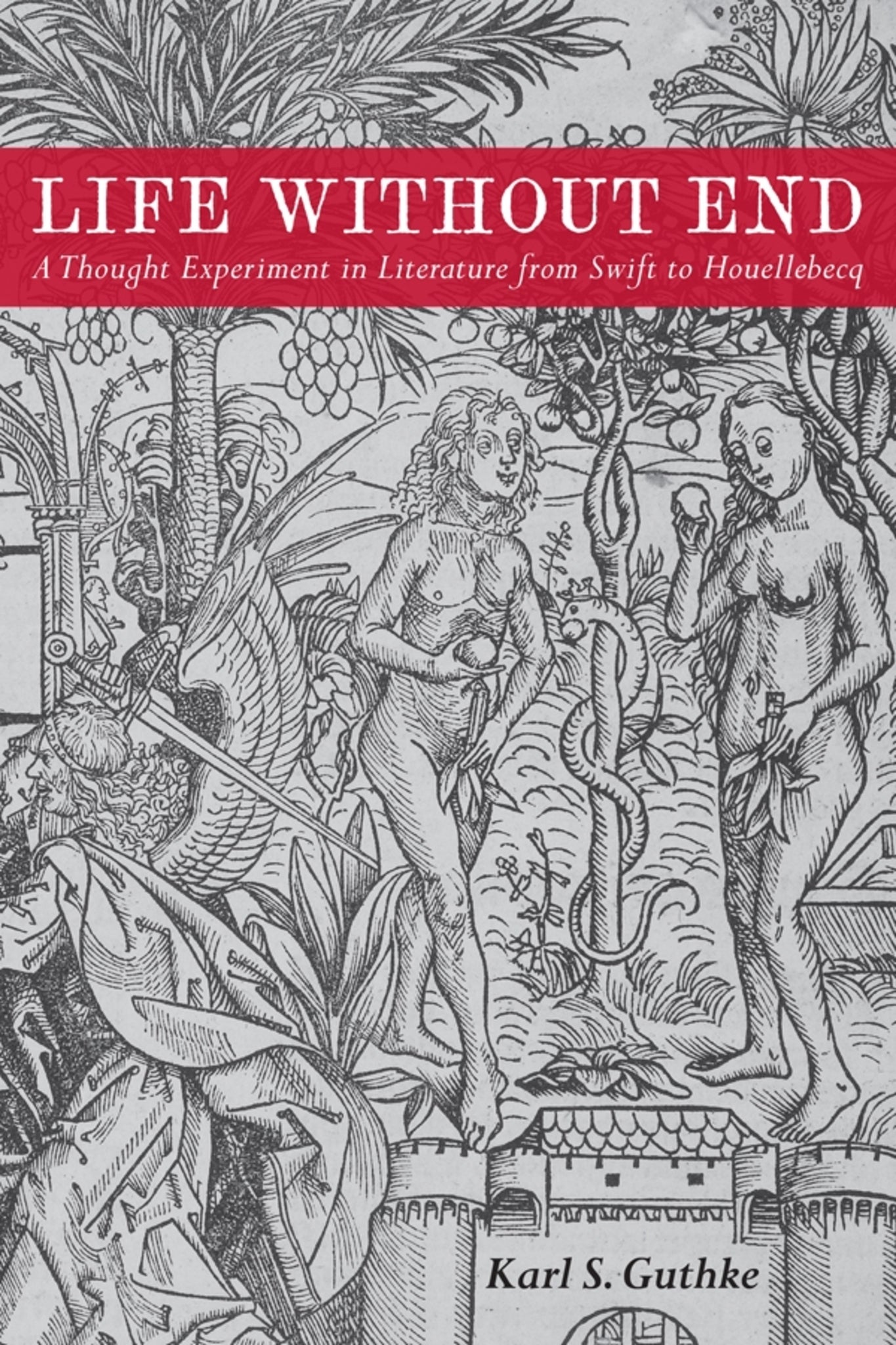 Cover image for Life without End ISBN 9781571139740