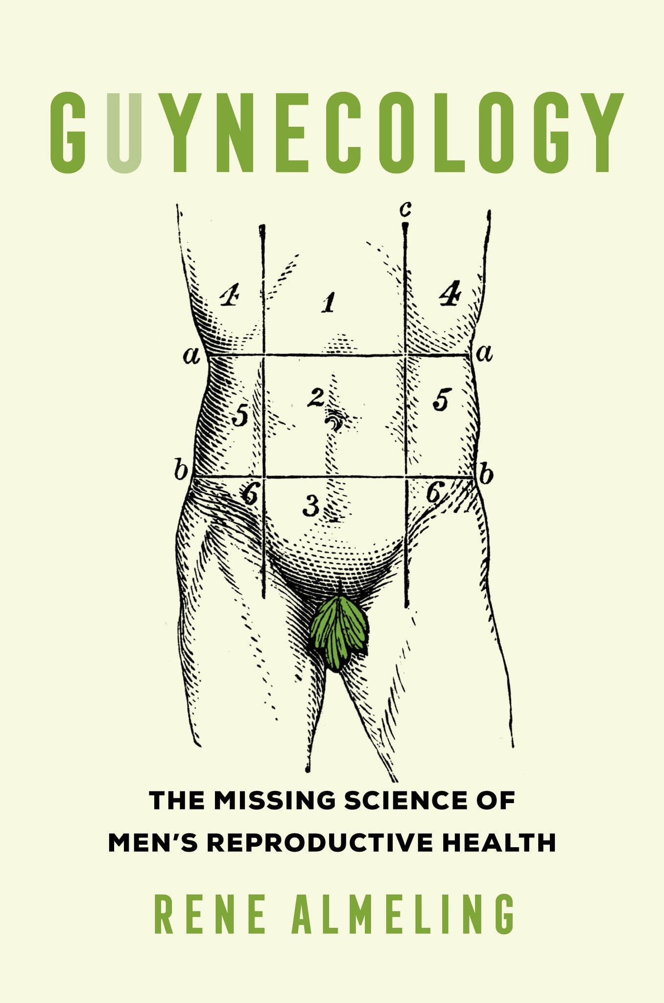Cover image for GUYnecology ISBN 9780520289253