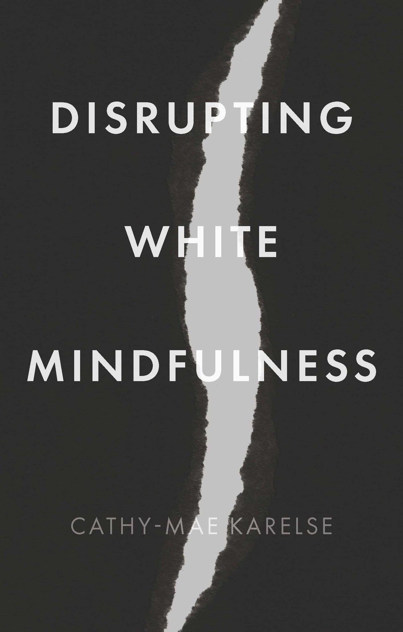 Cover image for Disrupting White Mindfulness ISBN 9781526162069
