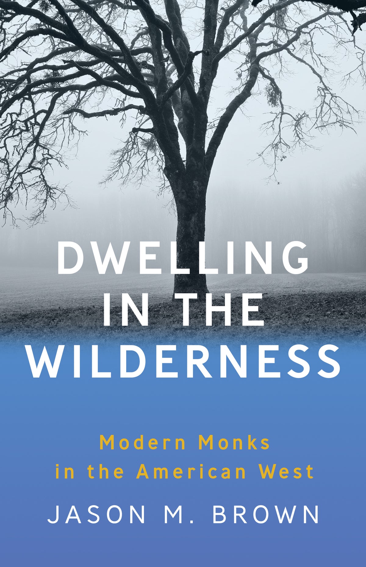 Cover image for Dwelling in the Wilderness ISBN 9781595349798