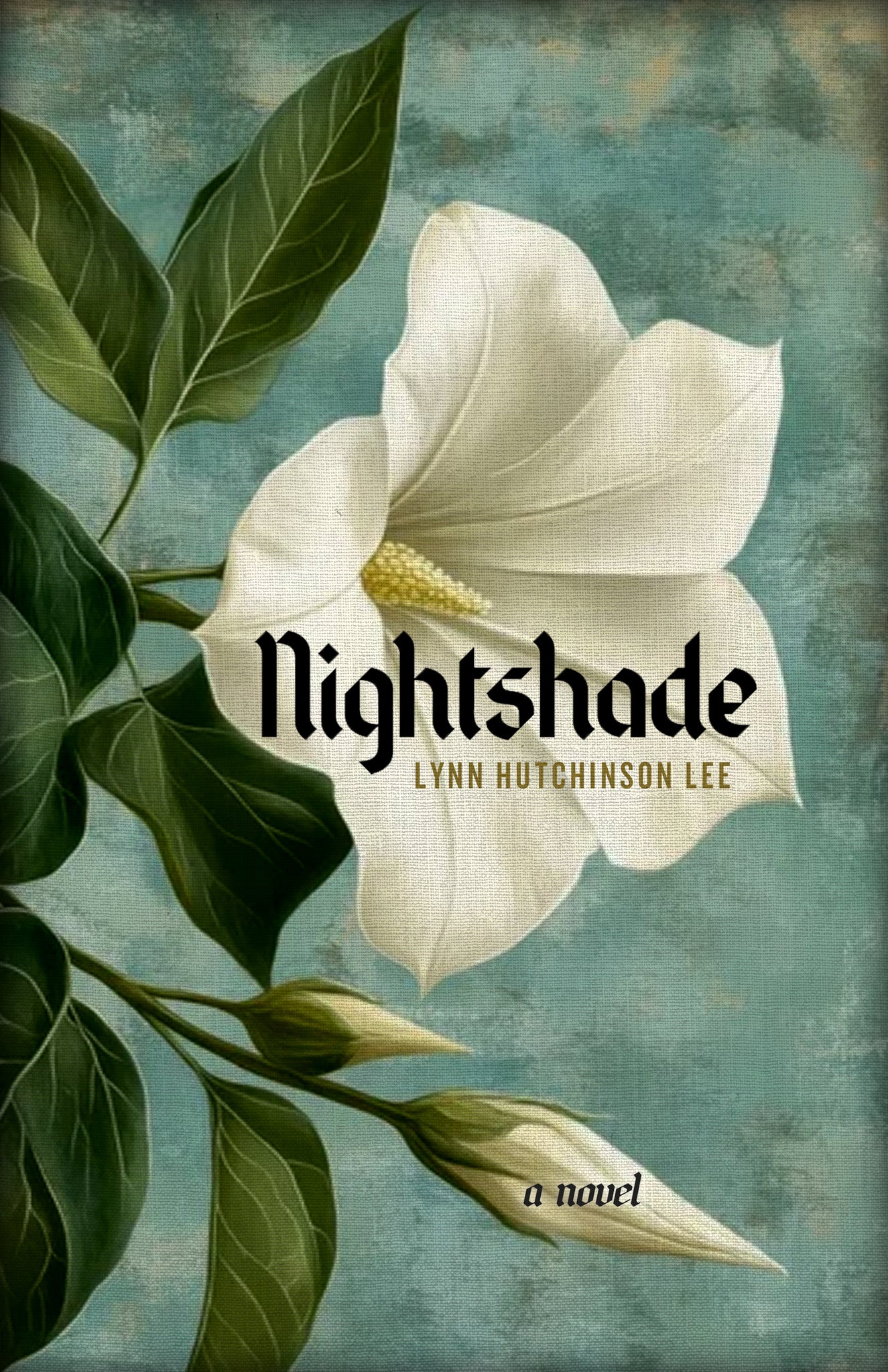 Cover image for Nightshade ISBN 9781998336289
