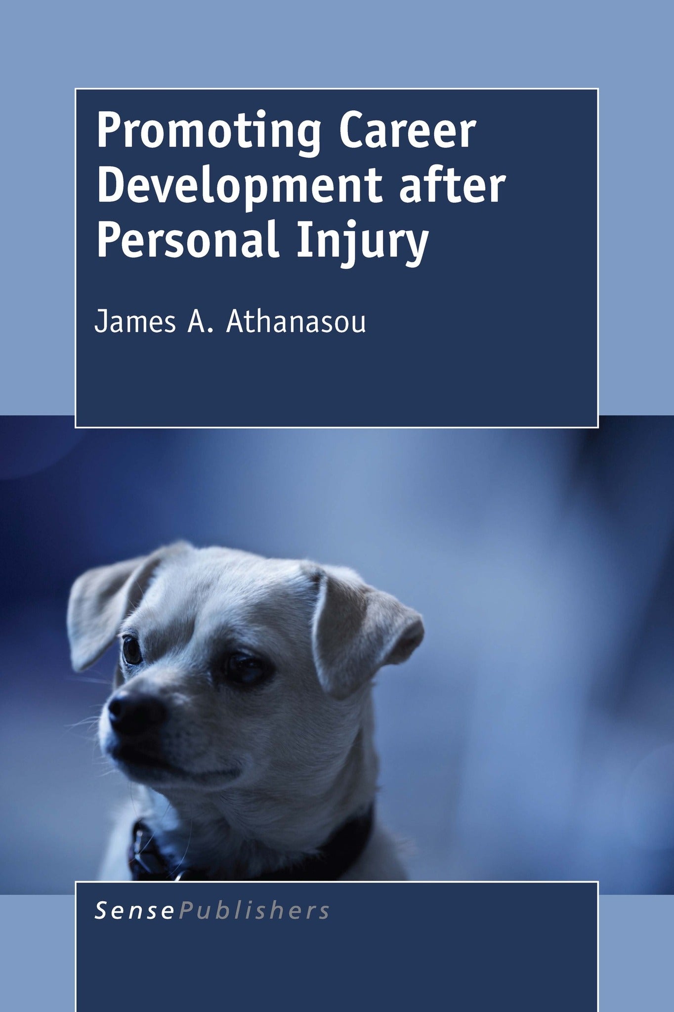 Cover image for Promoting Career Development after Personal Injury ISBN 9789463008341
