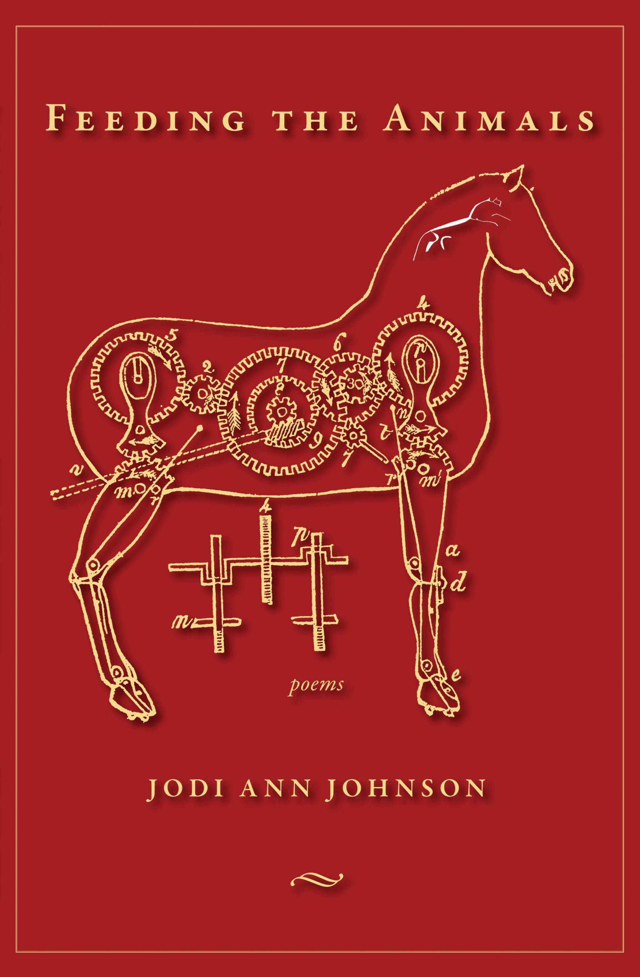 Cover image for Feeding the Animals ISBN 9781597092609