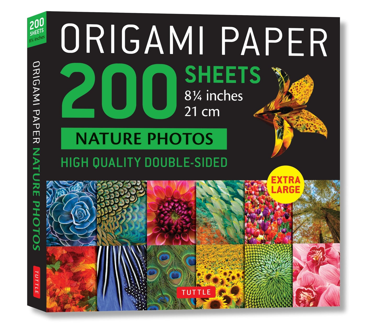 Cover image for Origami Paper 200 sheets Nature Photos 8 1/4" (21 cm) ISBN 9780804853682
