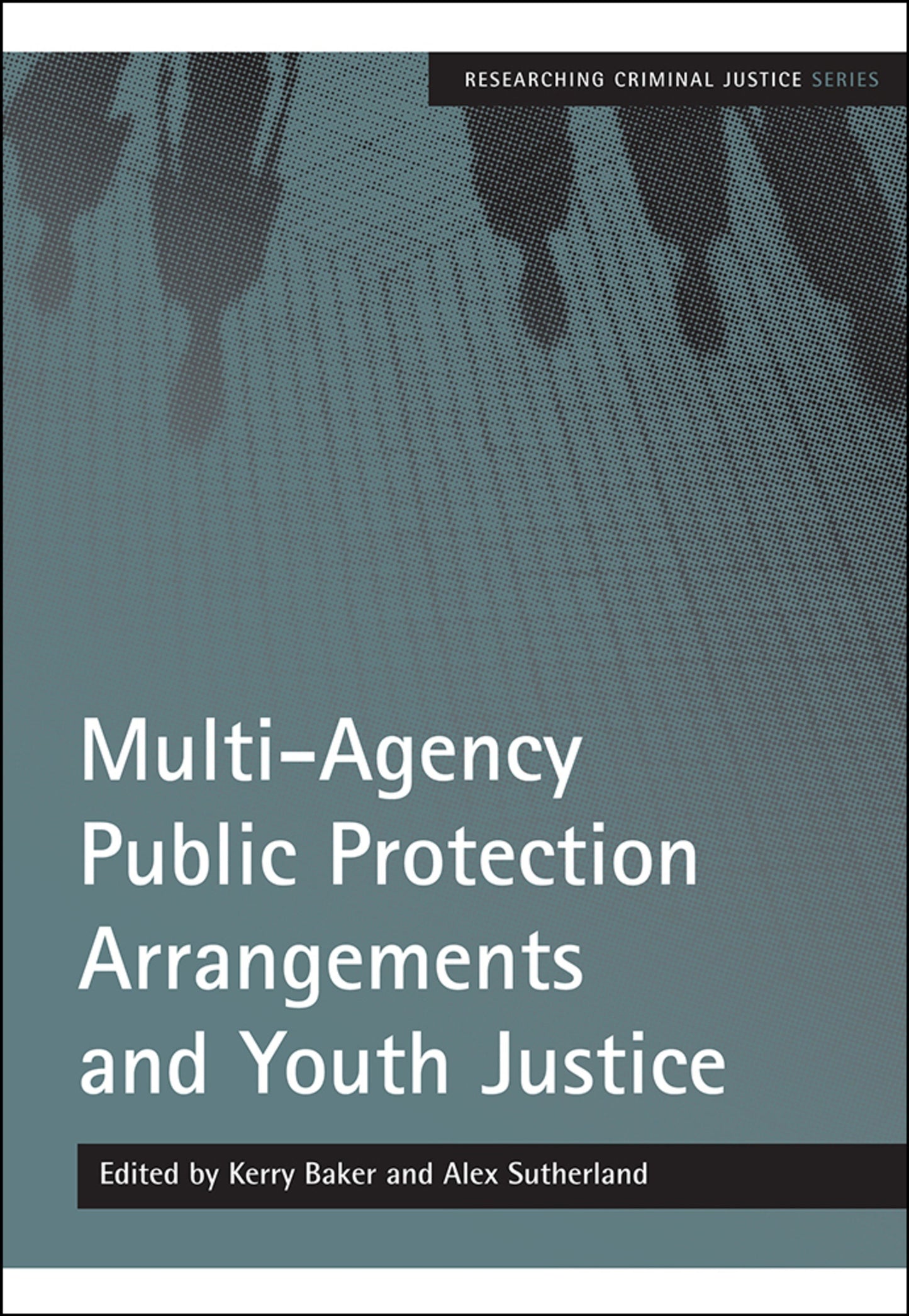 Cover image for Multi-Agency Public Protection Arrangements and Youth Justice ISBN 9781847422156