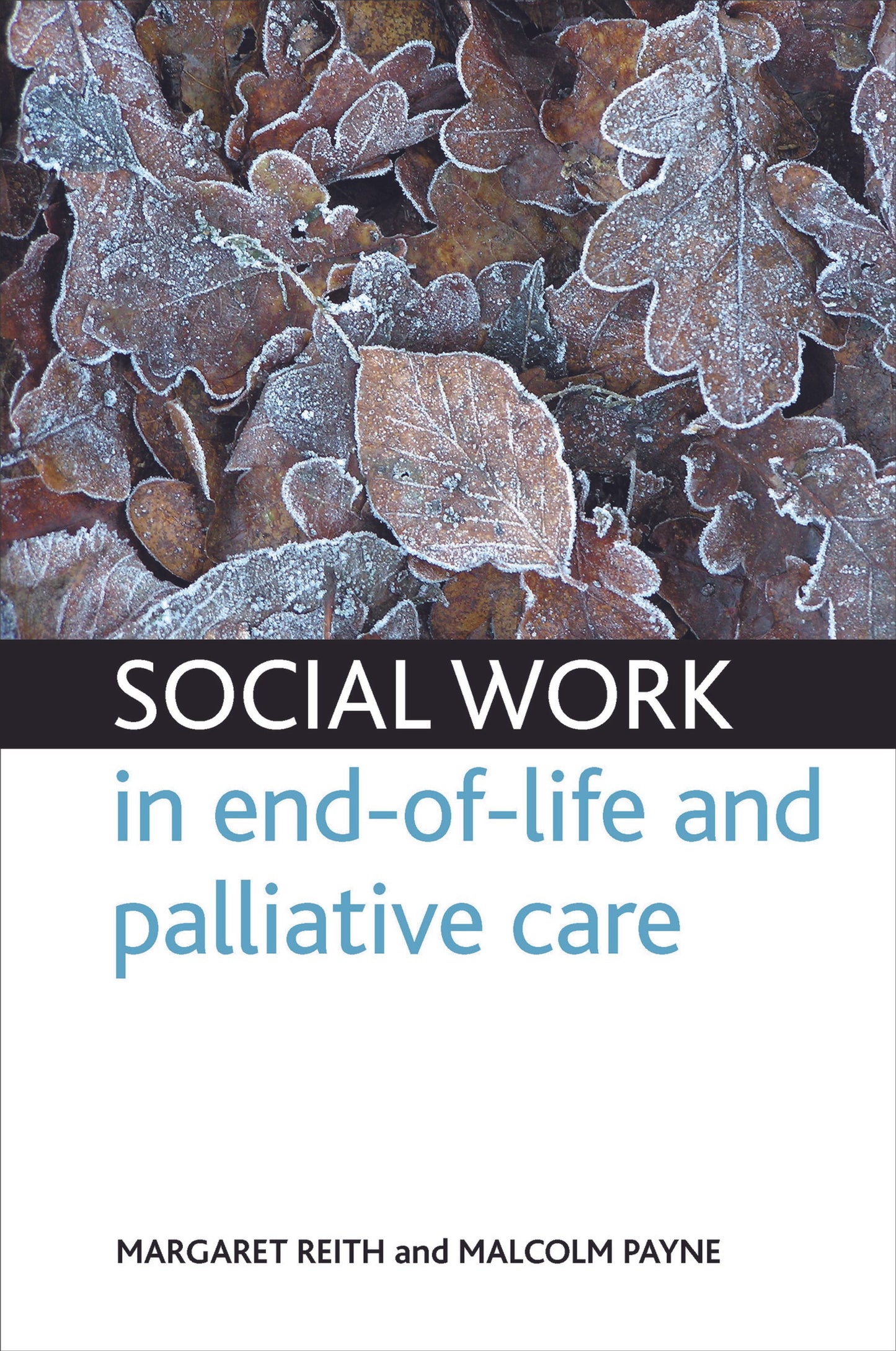 Cover image for Social work in end-of-life and palliative care ISBN 9781847424150