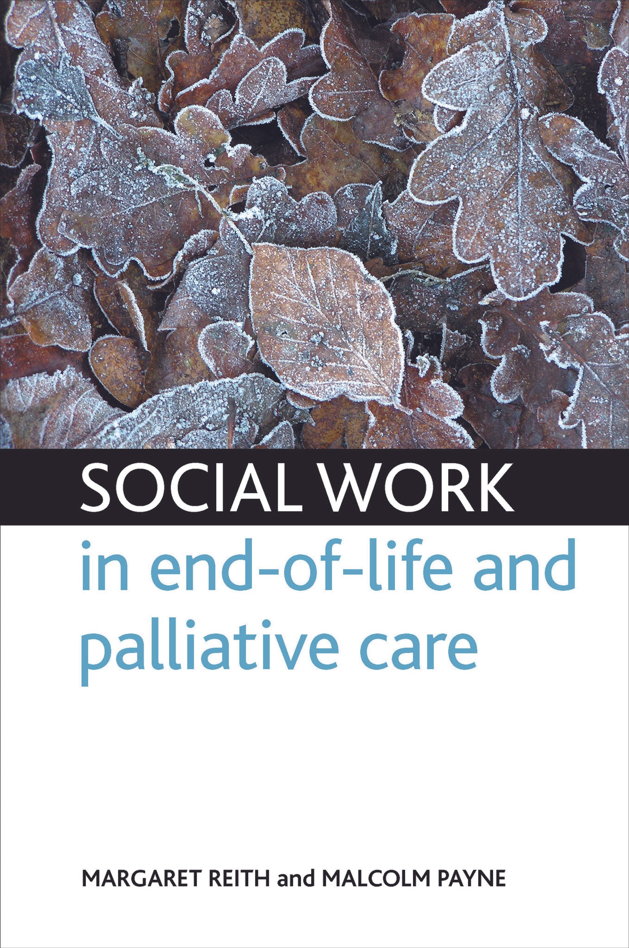 Cover image for Social work in end-of-life and palliative care ISBN 9781847424150
