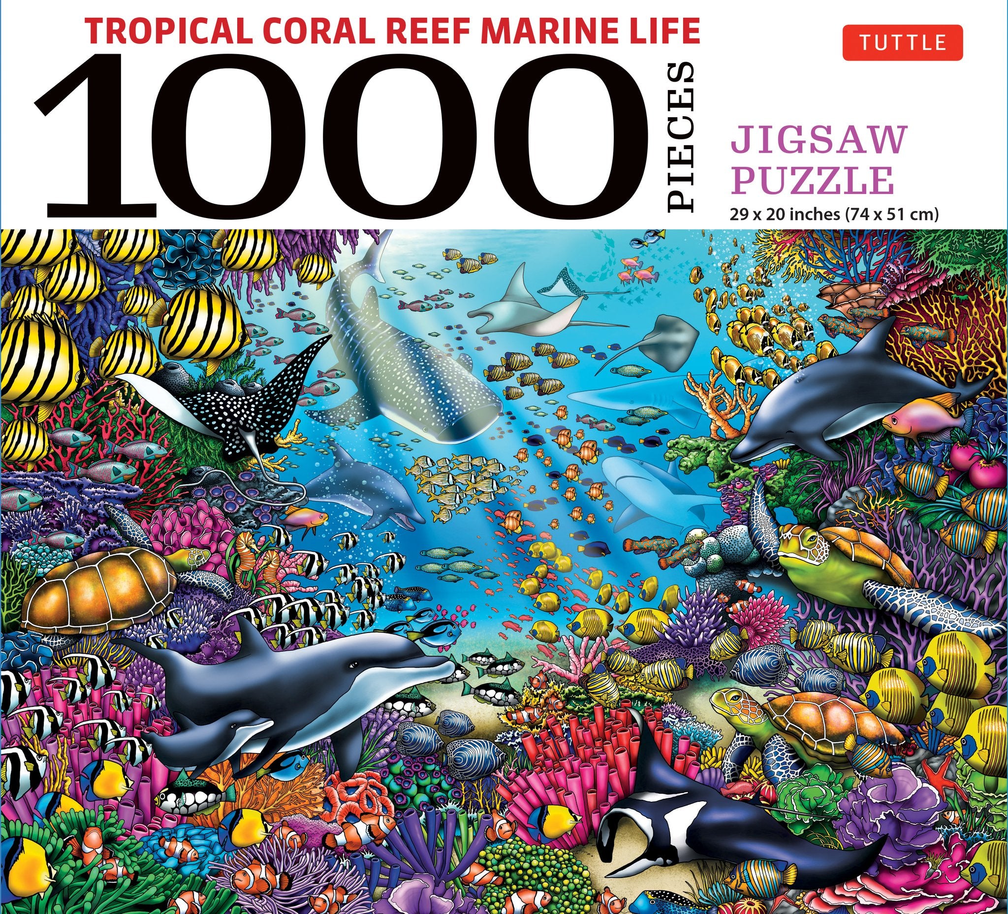 Cover image for Tropical Coral Reef Marine Life - 1000 Piece Jigsaw Puzzle ISBN 9780804854719